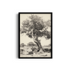 Silvered Woodlands Wall Art