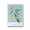 Bloomscapes Botanical Modern Wall Art