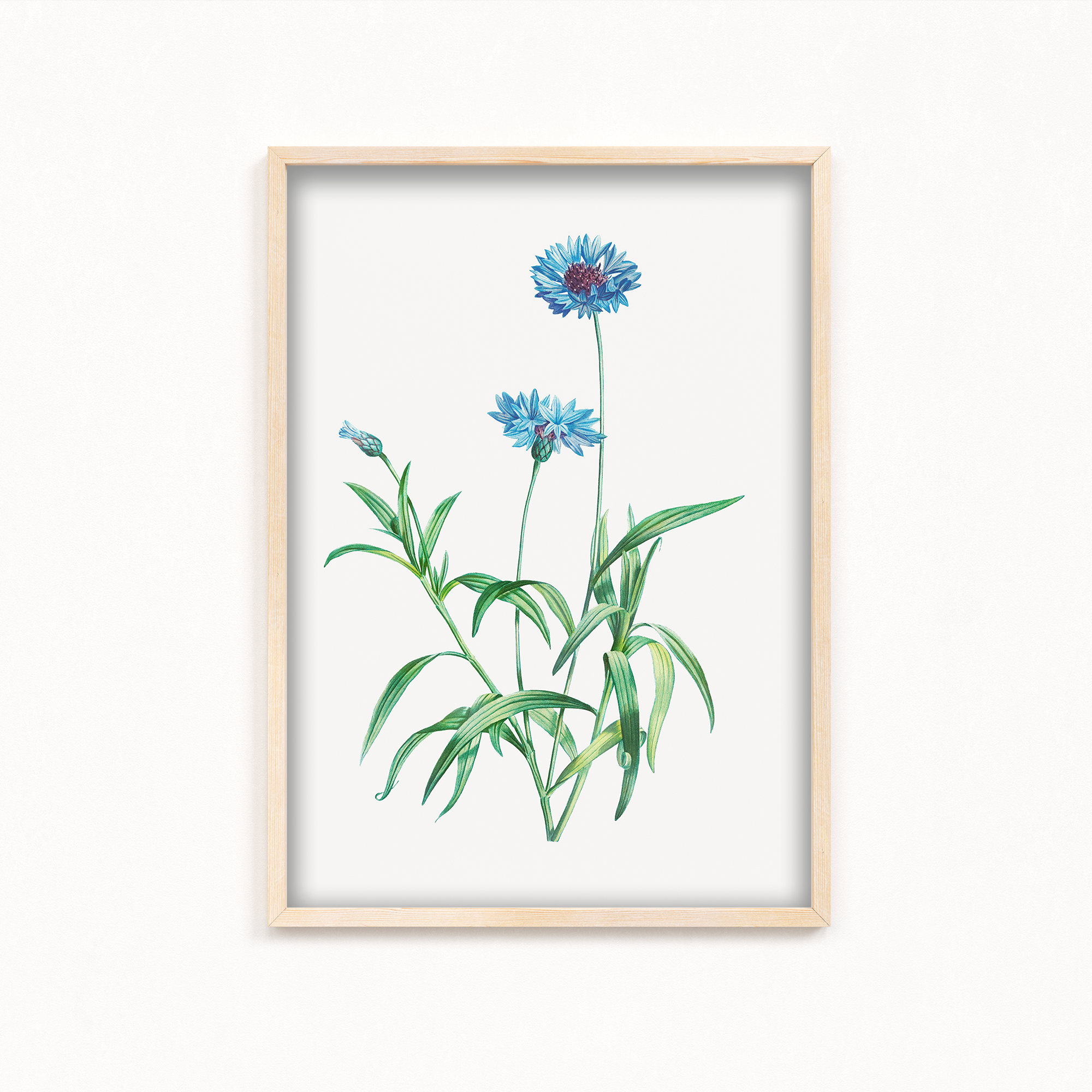 Nordic Lilac Botanical Wall Art