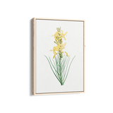 Mock Rosemary Botanical Wall Art