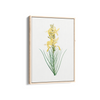 Mock Rosemary Botanical Wall Art