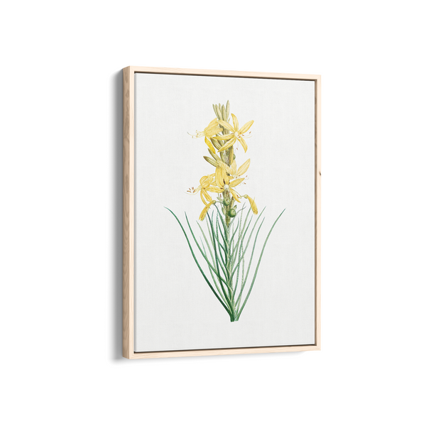 Mock Rosemary Botanical Wall Art