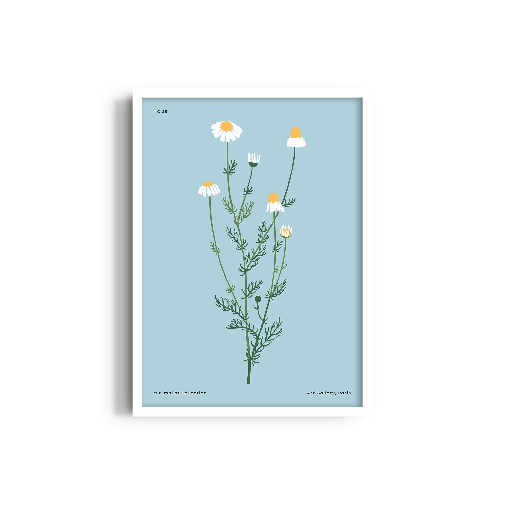 Floral Reverie Botanical Modern Wall Art