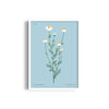 Floral Reverie Botanical Modern Wall Art