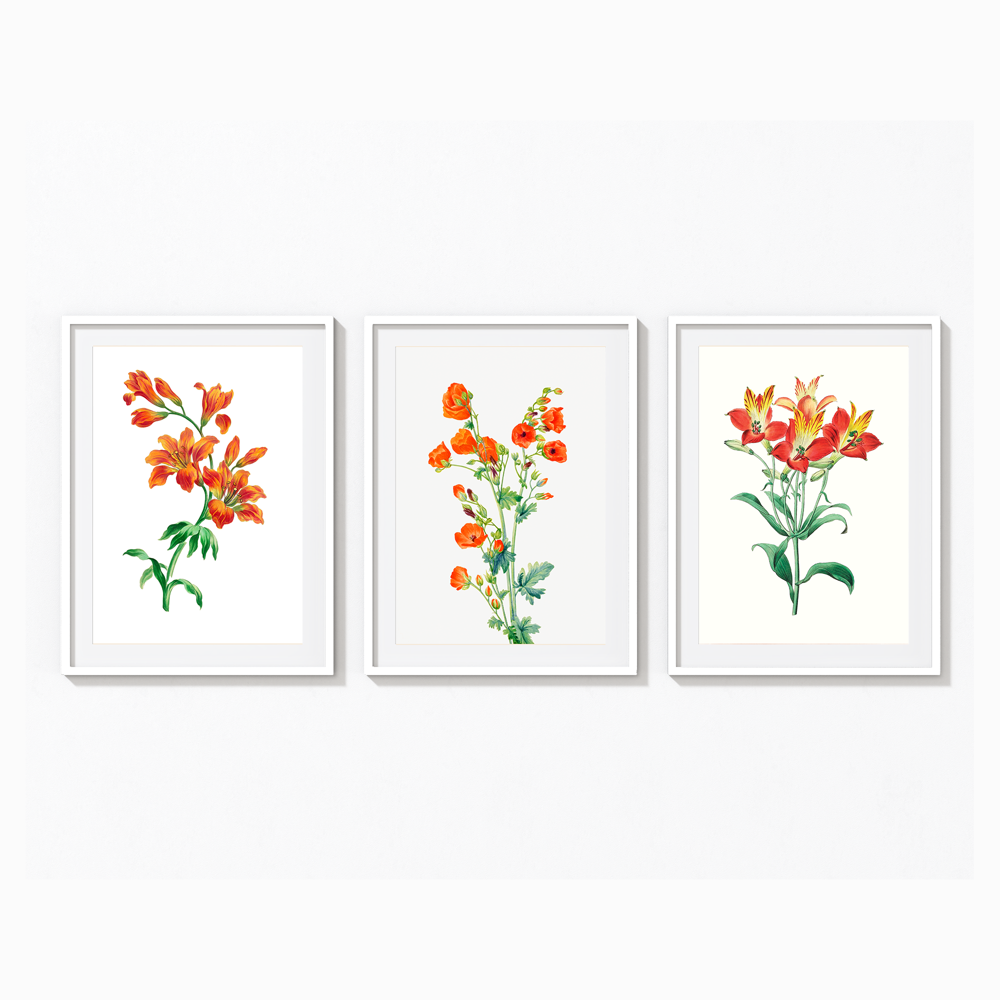 Set of 3 Botanical Modern Wall Art