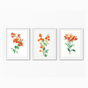 Set of 3 Botanical Modern Wall Art