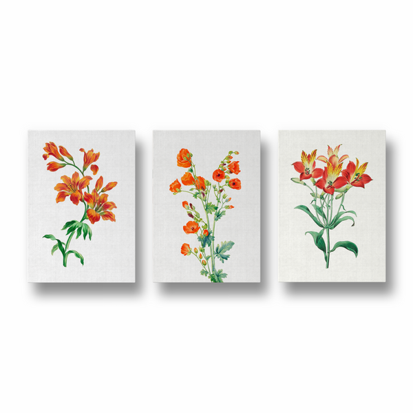 Set of 3 Botanical Modern Wall Art