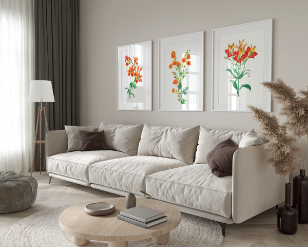 Set of 3 Botanical Modern Wall Art