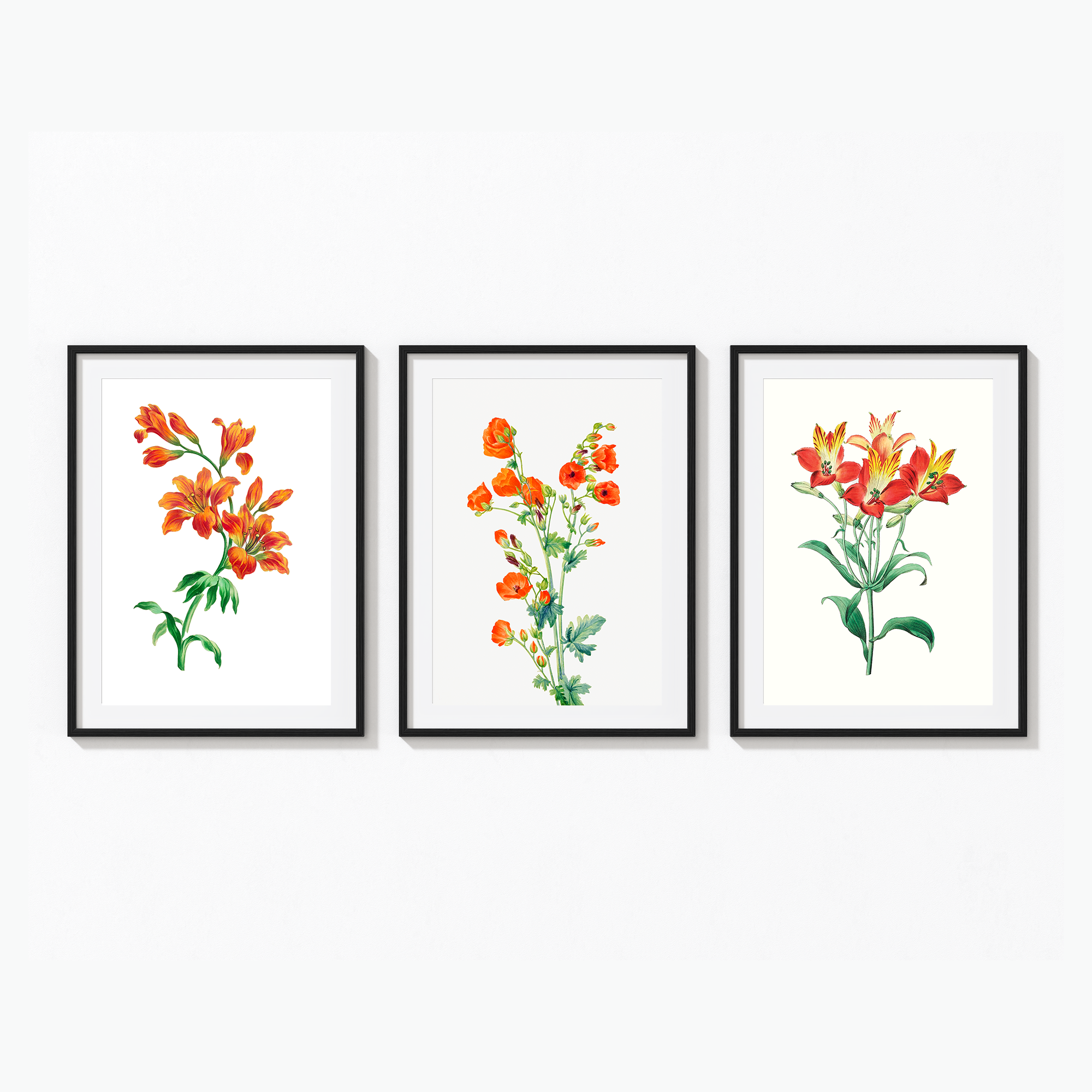Set of 3 Botanical Modern Wall Art