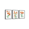 Set of 3 Botanical Modern Wall Art