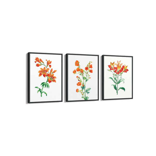 Set of 3 Botanical Modern Wall Art