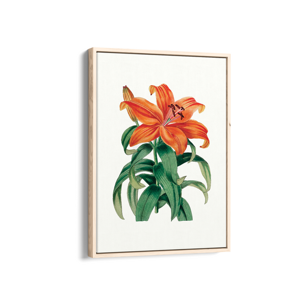 Whisper Bittercress Botanical Wall Art
