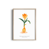 Floral Impressionism Botanical Modern Wall Art