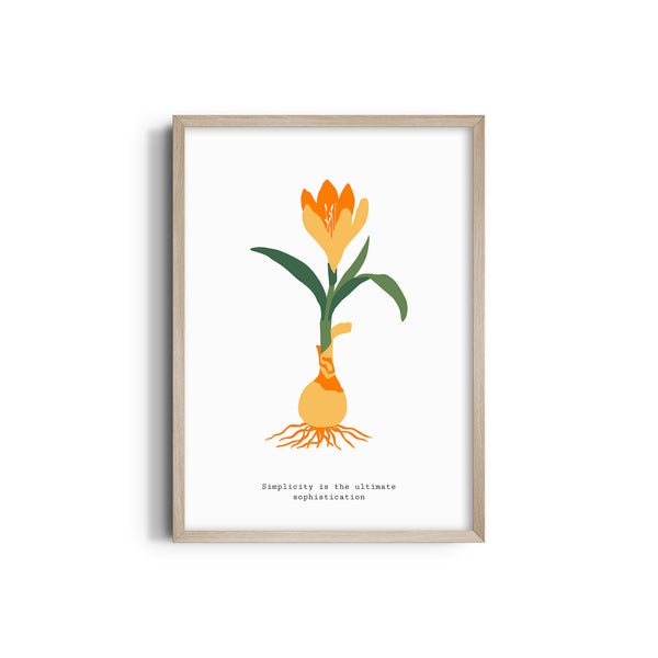 Floral Impressionism Botanical Modern Wall Art