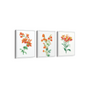 Set of 3 Botanical Modern Wall Art
