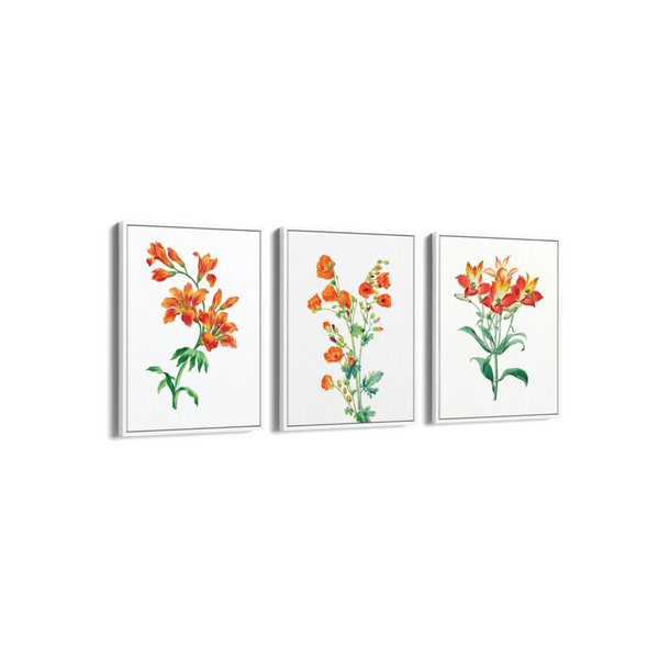 Set of 3 Botanical Modern Wall Art