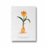 Floral Impressionism Botanical Modern Wall Art