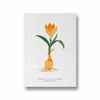 Floral Impressionism Botanical Modern Wall Art