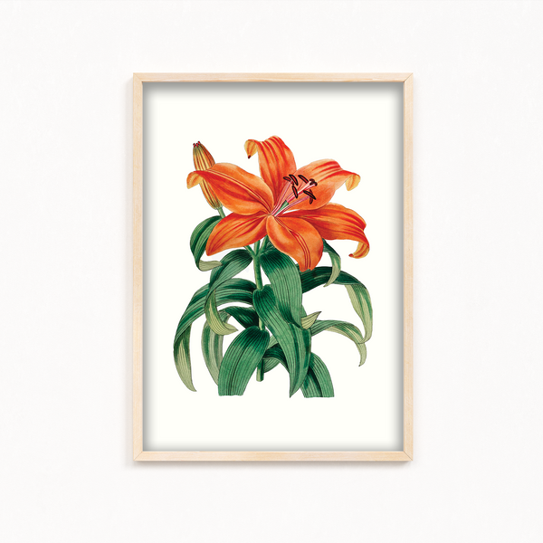 Whisper Bittercress Botanical Wall Art