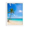 Coconut trees on the beach Wall Art