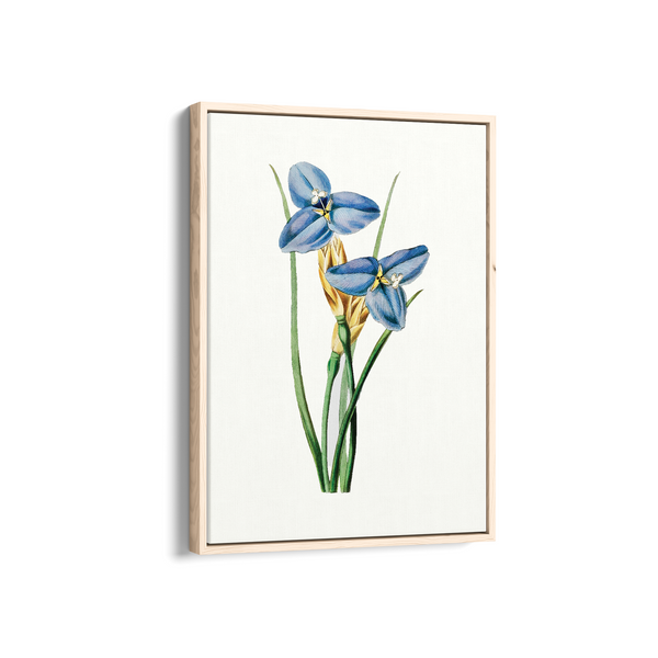 Yodririn Botanical Wall Art