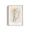 Botanical Brilliance Botanical Modern Wall Art