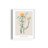 Botanical Brilliance Botanical Modern Wall Art