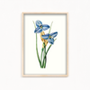 Yodririn Botanical Wall Art