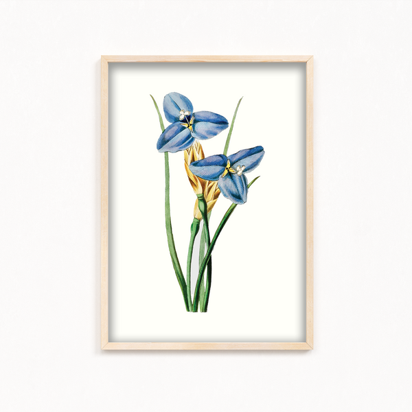 Yodririn Botanical Wall Art