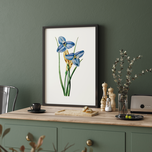 Yodririn Botanical Wall Art