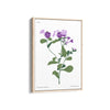 Flora in Detail Botanical Modern Wall Art