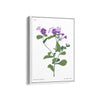 Flora in Detail Botanical Modern Wall Art