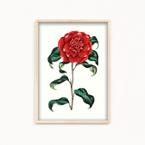 Cramire Botanical Wall Art