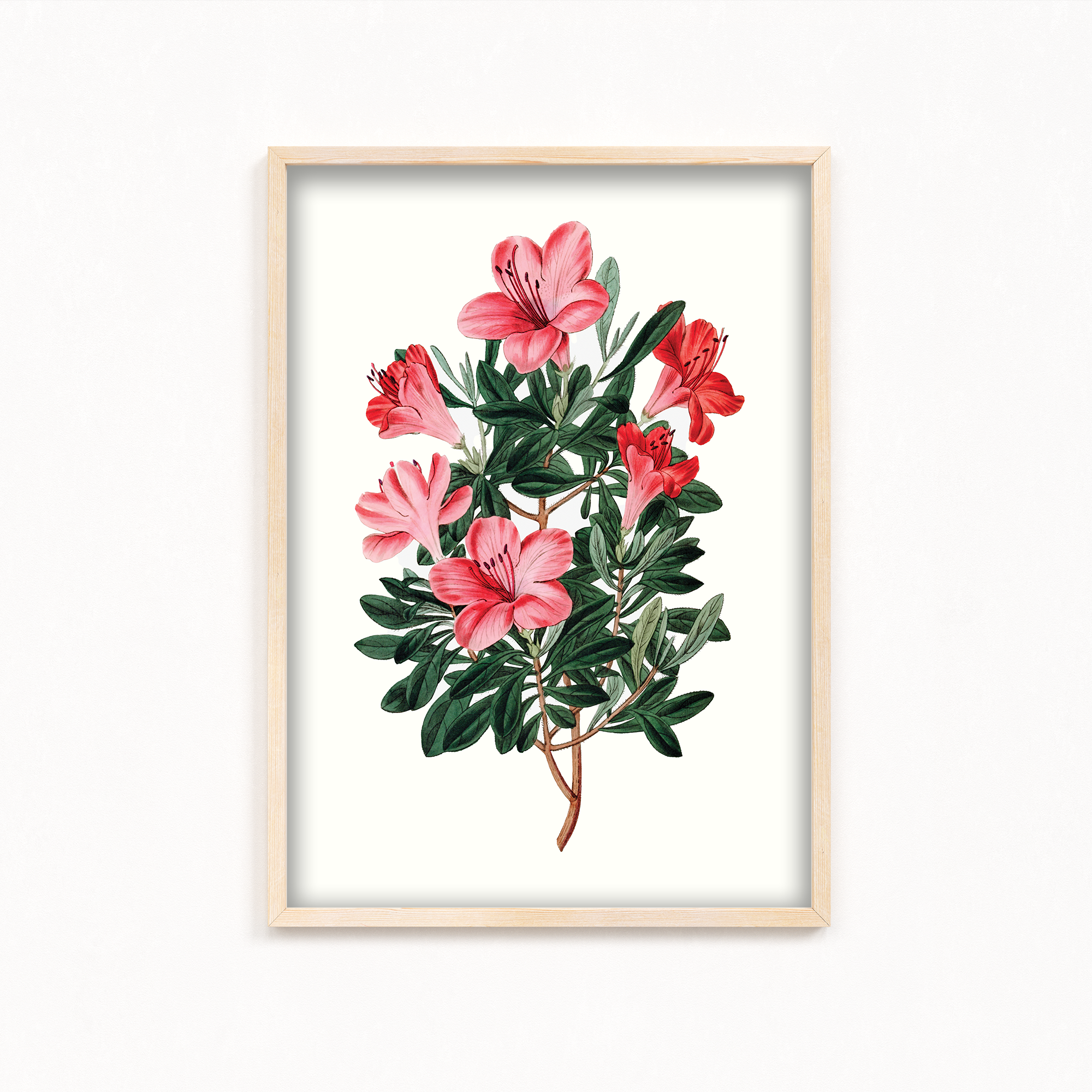 Majestic Felonwood Botanical Wall Art