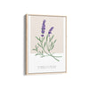Lavender Botanical Modern Wall Art