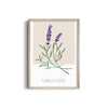 Lavender Botanical Modern Wall Art