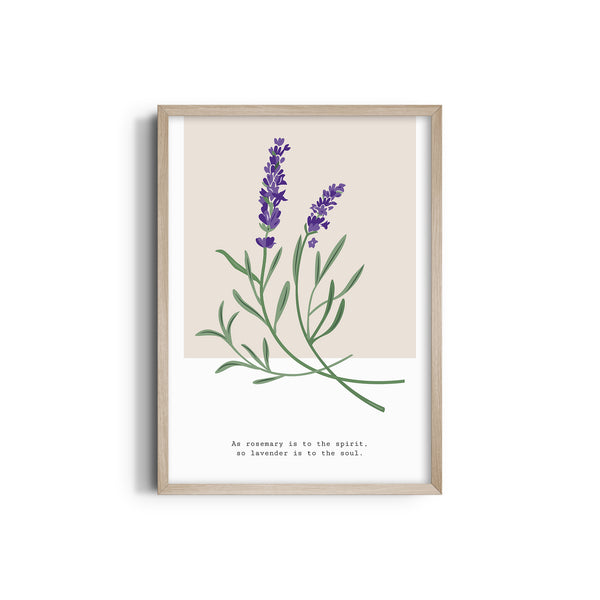 Lavender Botanical Modern Wall Art
