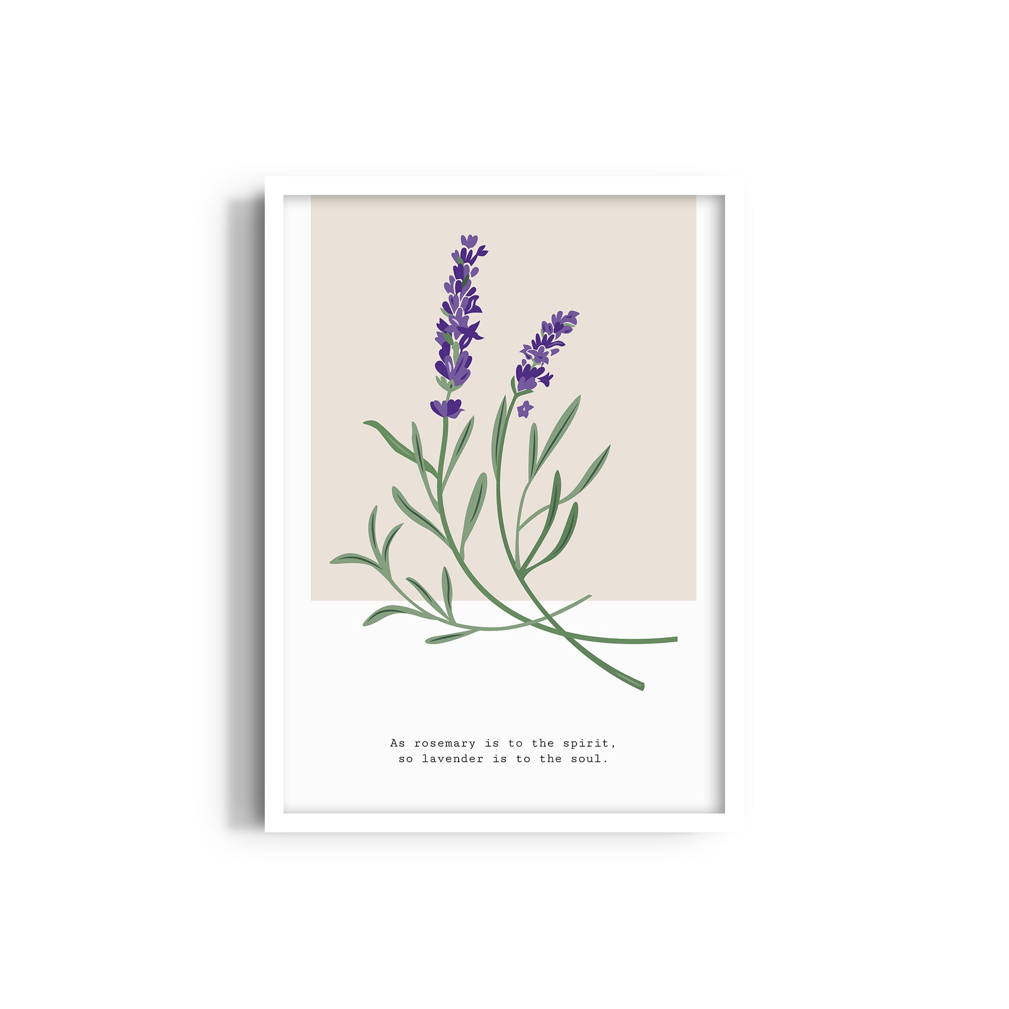 Lavender Botanical Modern Wall Art