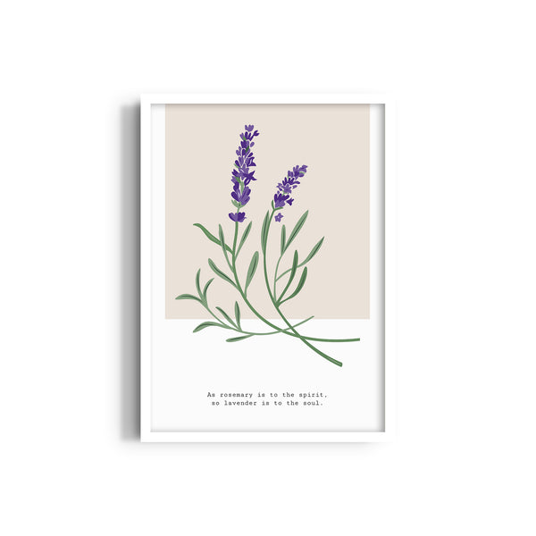 Lavender Botanical Modern Wall Art