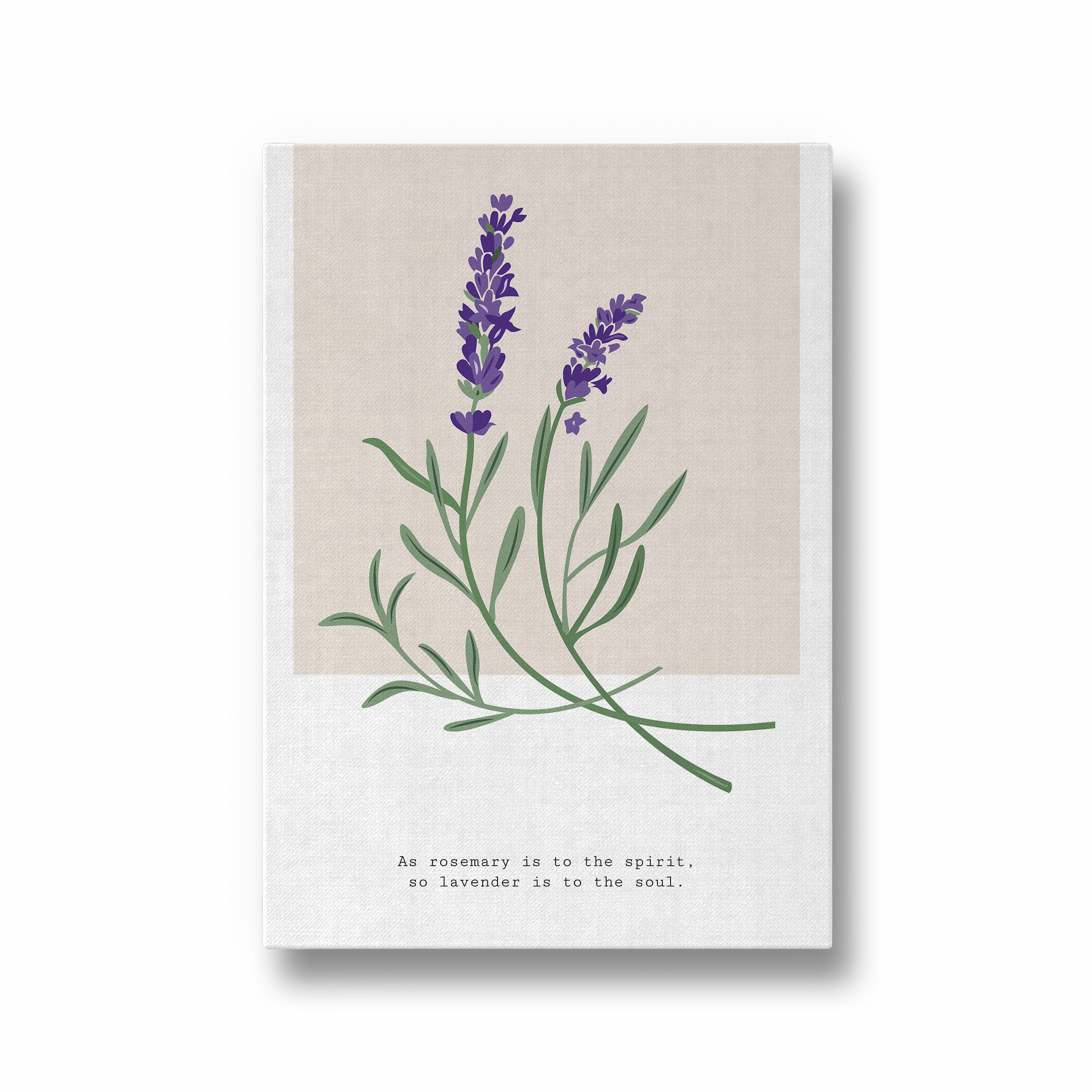 Lavender Botanical Modern Wall Art