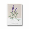 Lavender Botanical Modern Wall Art