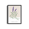 Lavender Botanical Modern Wall Art