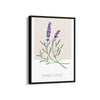 Lavender Botanical Modern Wall Art