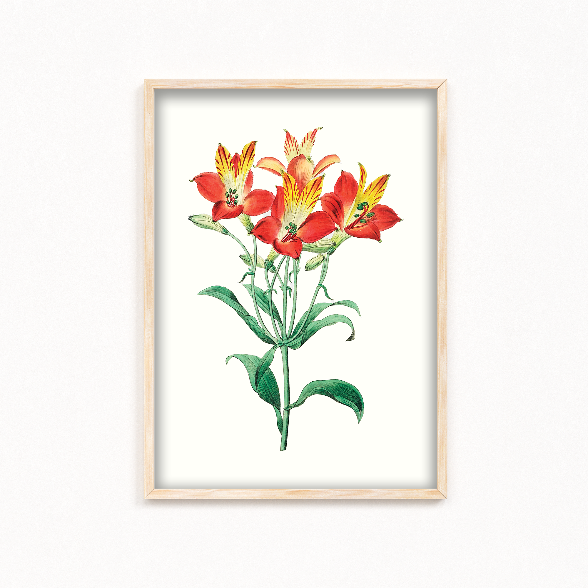 Ekleshrower Botanical Wall Art