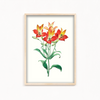 Ekleshrower Botanical Wall Art