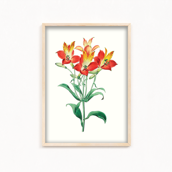 Ekleshrower Botanical Wall Art