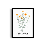 Floral Reverence Botanical Modern Wall Art