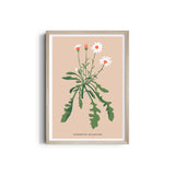 Lily Botanical Modern Wall Art