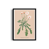 Lily Botanical Modern Wall Art