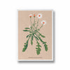 Lily Botanical Modern Wall Art